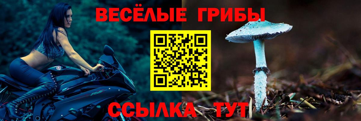 Псилоцибиновые грибы прущие грибы  Галлюциногенные грибы Magic Shrooms  Вход с VPN  Елец 